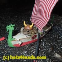 /home//u458753944/public_html/sourcegallery//////Roxborough Toad Detour/2013-2019/2018/2018-02-21/P2210052.JPG